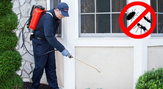 Odunpazarı Hamam Böceği İlaçlama böcek ilaçlama ve haşere kontrolü — ilaclama-tr.com